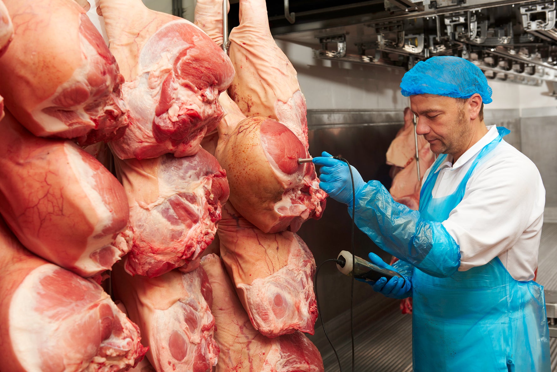 Gros plan sur la réception de la Charcuterie des Flandres